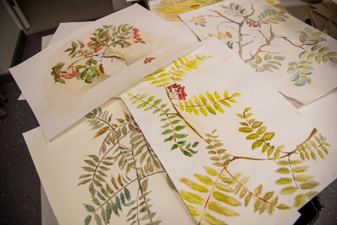 &quot;Творчество вне возраста&quot;: мурманчане создали осенние акварельные этюды 