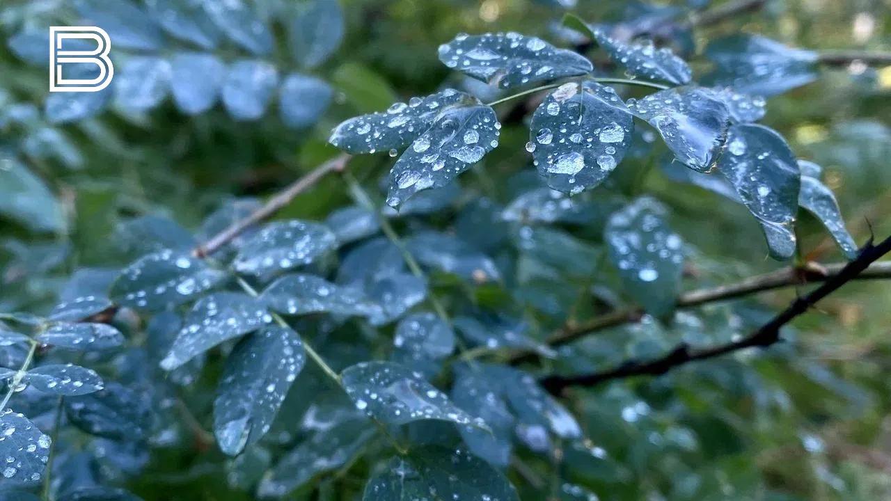 Прогноз погоды по Мурманской области на 7 октября 