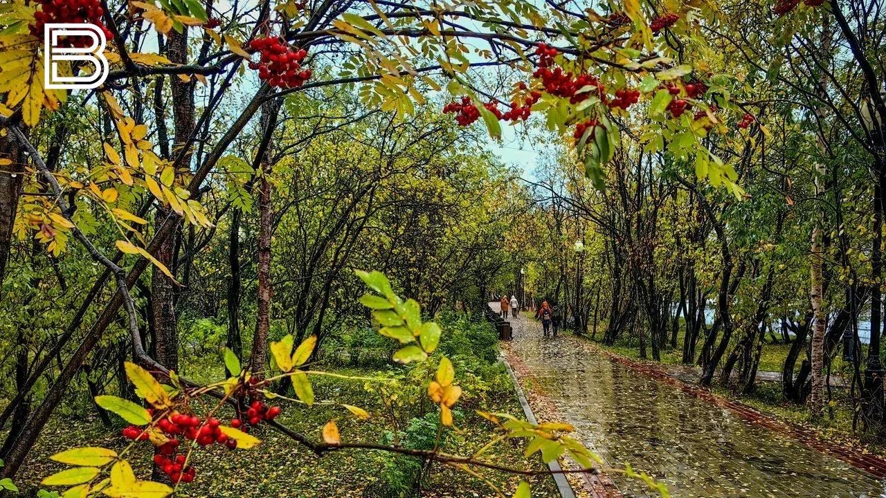 Прогноз погоды по Мурманской области на 8 октября