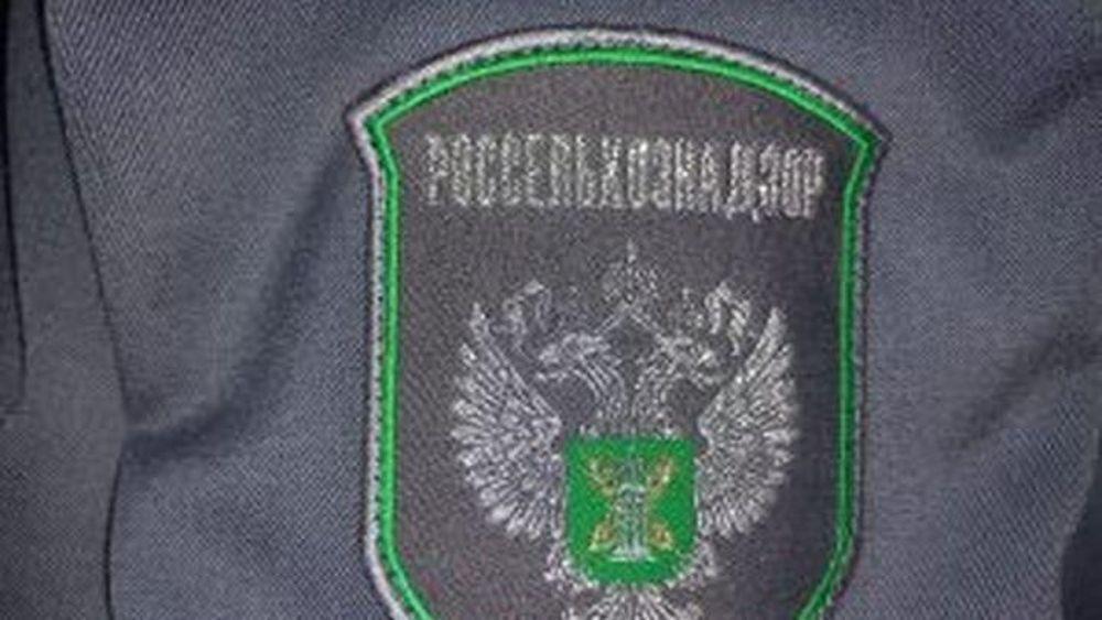 Россельхознадзор прекратил действий 52 деклараций на рыбные консервы в Мурманской области за 9 месяцев