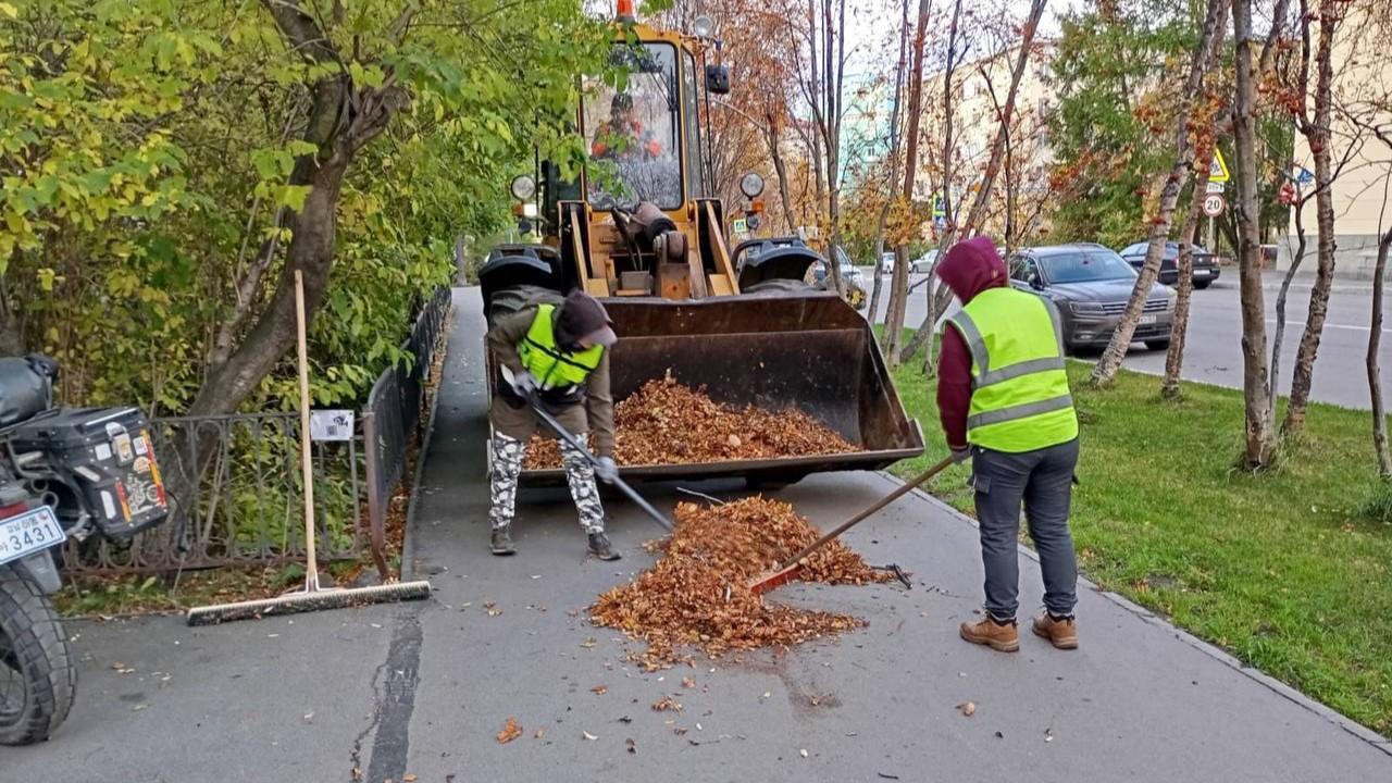 Уборка опавшей листвы – в центре внимания городских служб Мурманска
