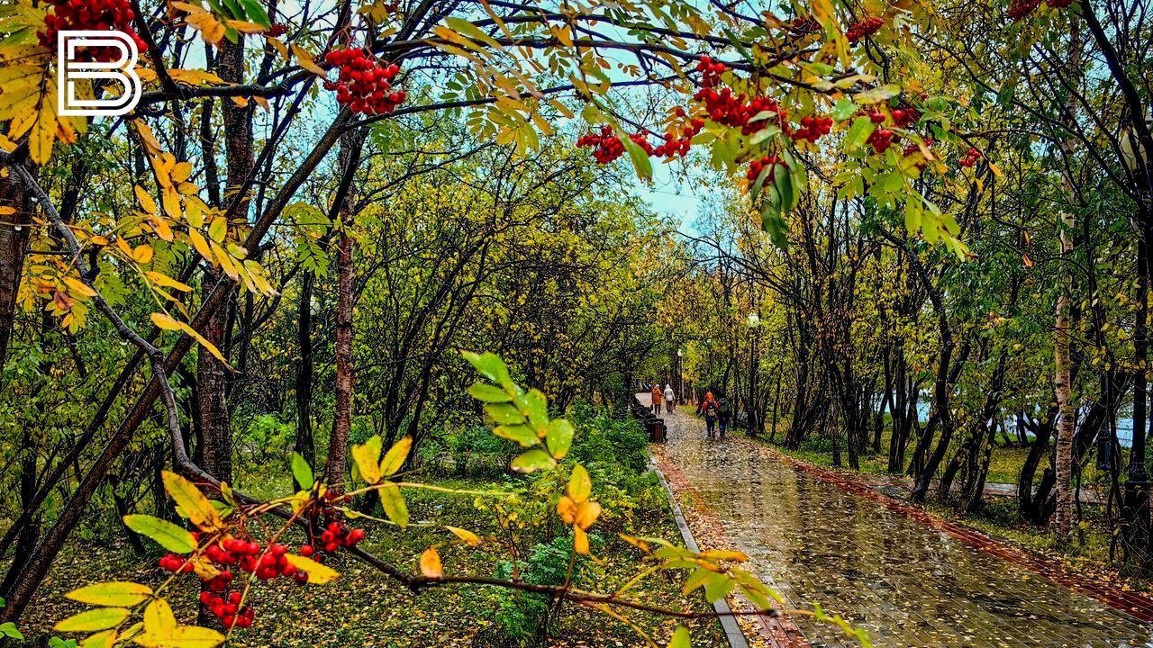 В Мурманской области 13 октября сохранится дождливая погода