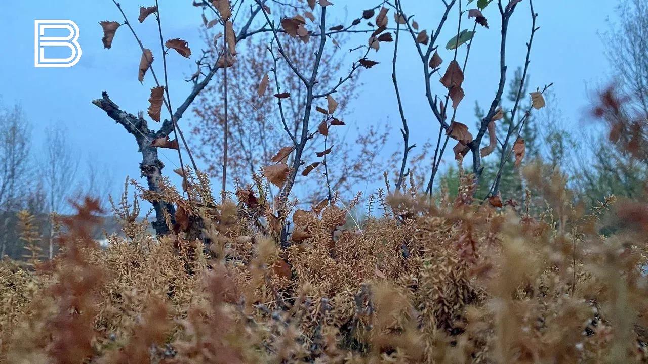 Прогноз погоды по Мурманской области на 20 октября