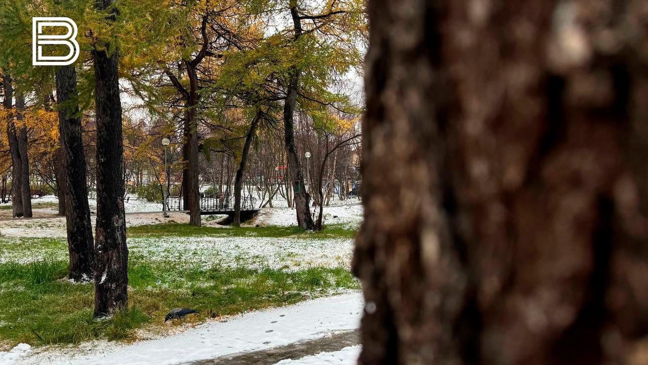 Прогноз погоды в Мурманской области на 23 октября