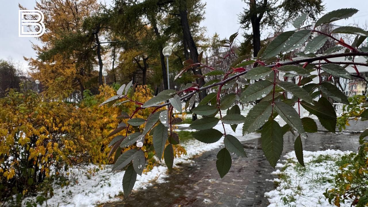 В Мурманской области 24 октября пройдут небольшие дожди
