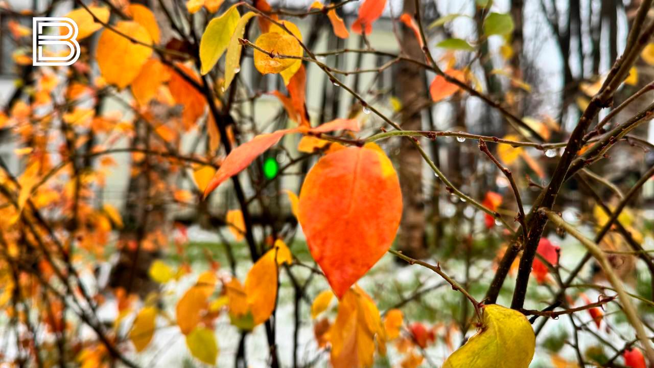 Прогноз погоды в Мурманской области на 28 октября