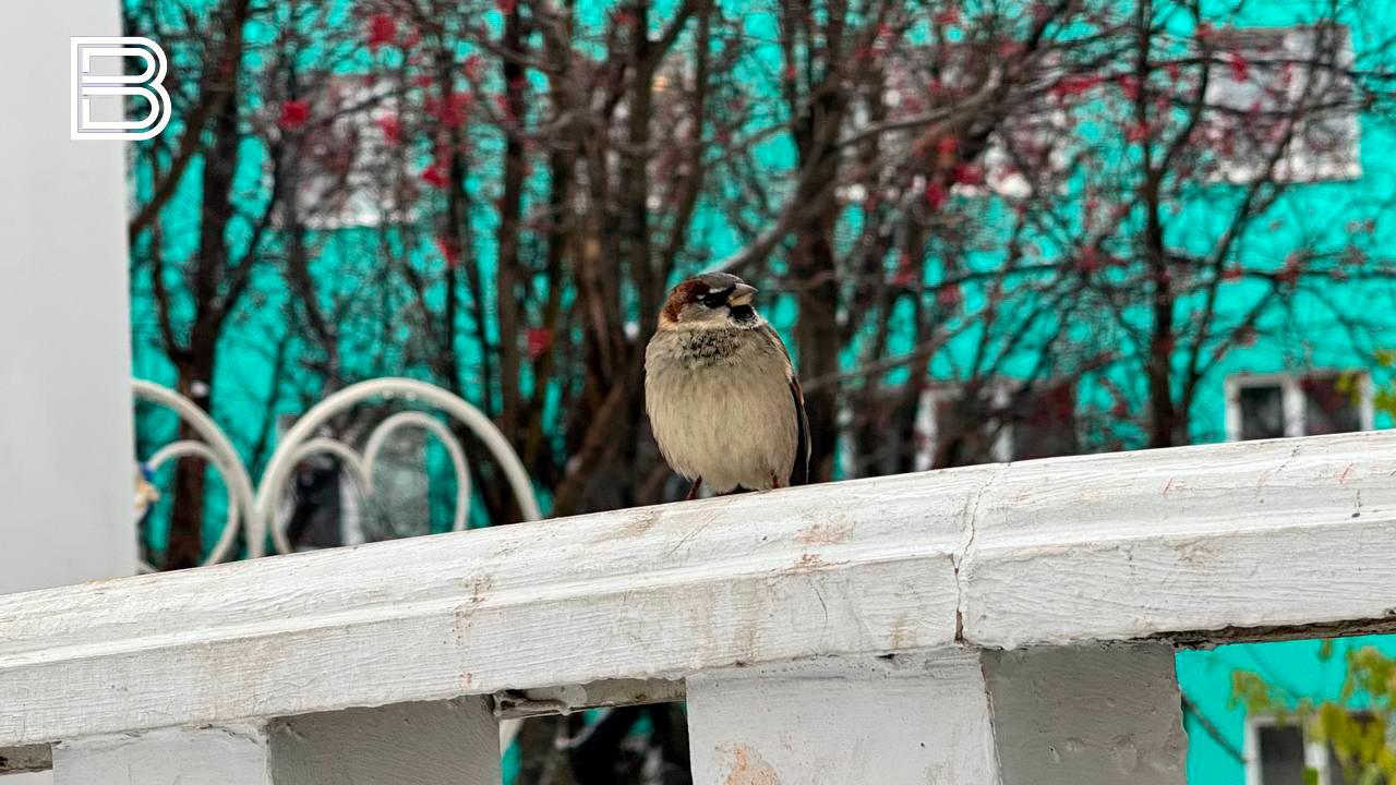 Прогноз погоды в Мурманской области на 29 октября