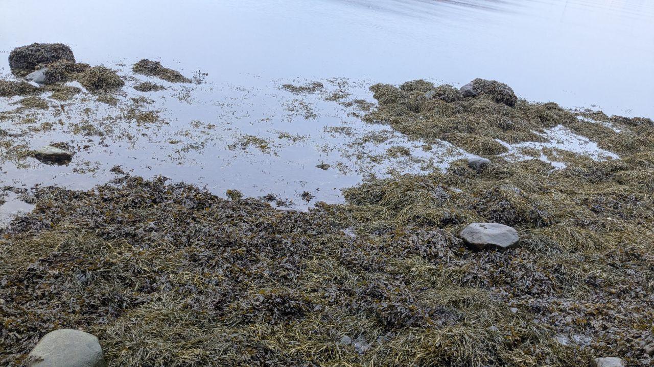 В администрации Мурманска прокомментировали ситуацию с "мазутом" в Росляково