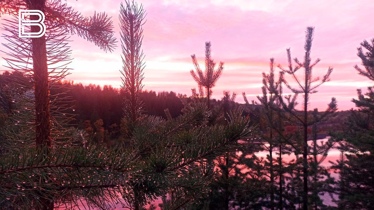 Прогноз погоды в Мурманской области на 2 ноября