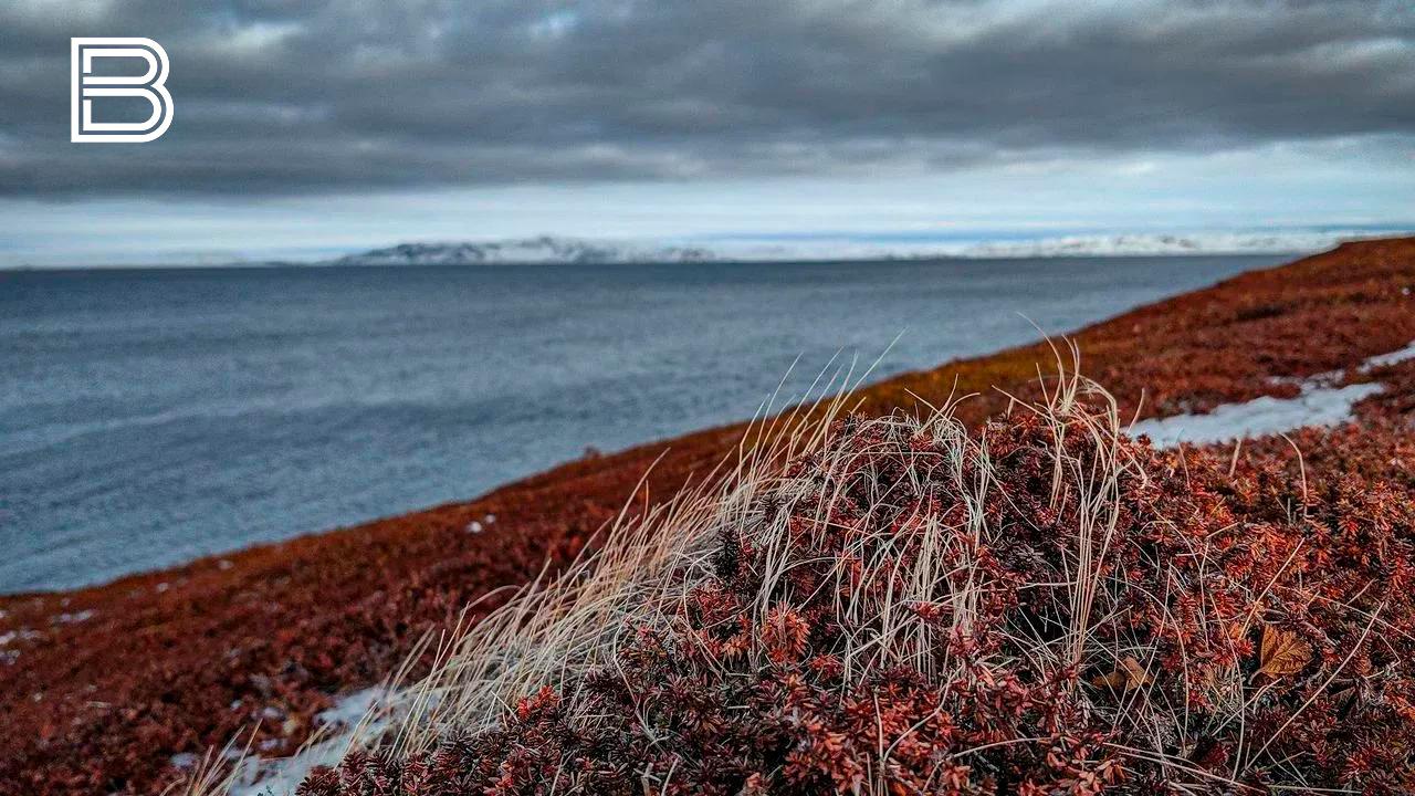 Сильные ветры придут в Мурманскую область 9 ноября