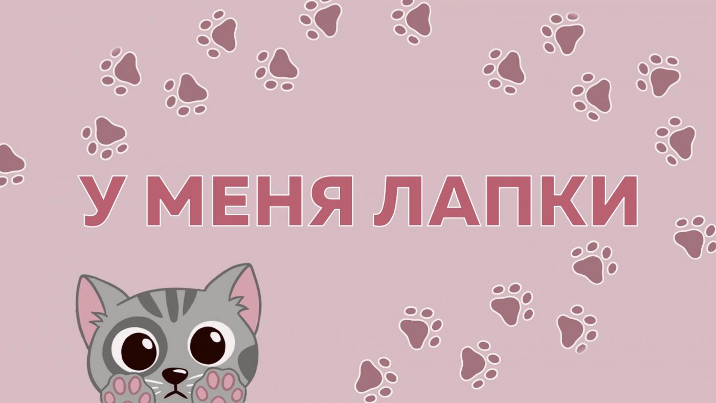 ГТРК "Мурман" запускает конкурс ко Всемирному дню домашних животных