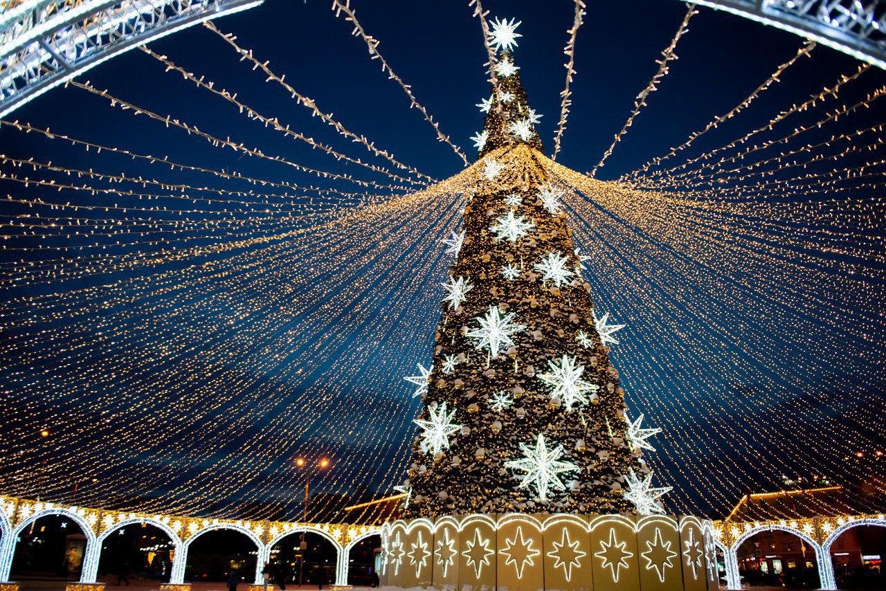 Открытие главной елки Мурманска перенесли из-за погоды