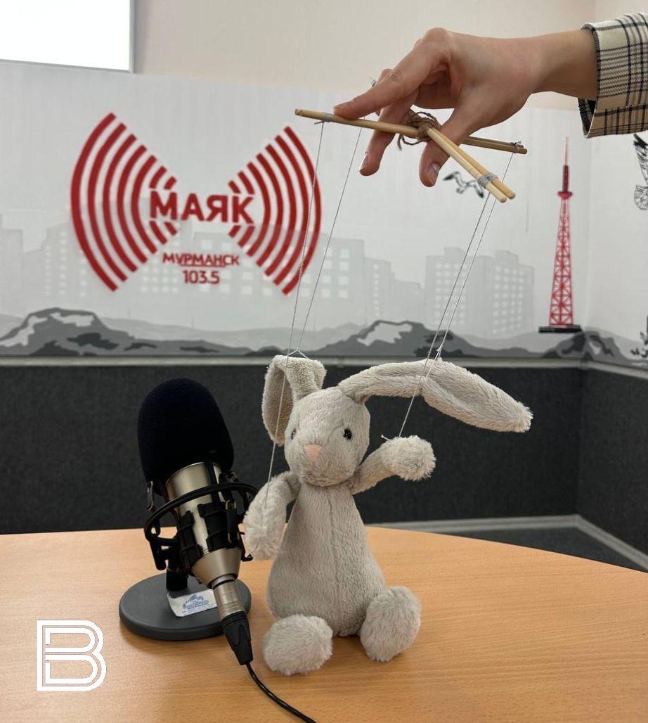 "Ширяев-на-Мурмане": сладкие речи манипуляторов: как не попасть под их чары