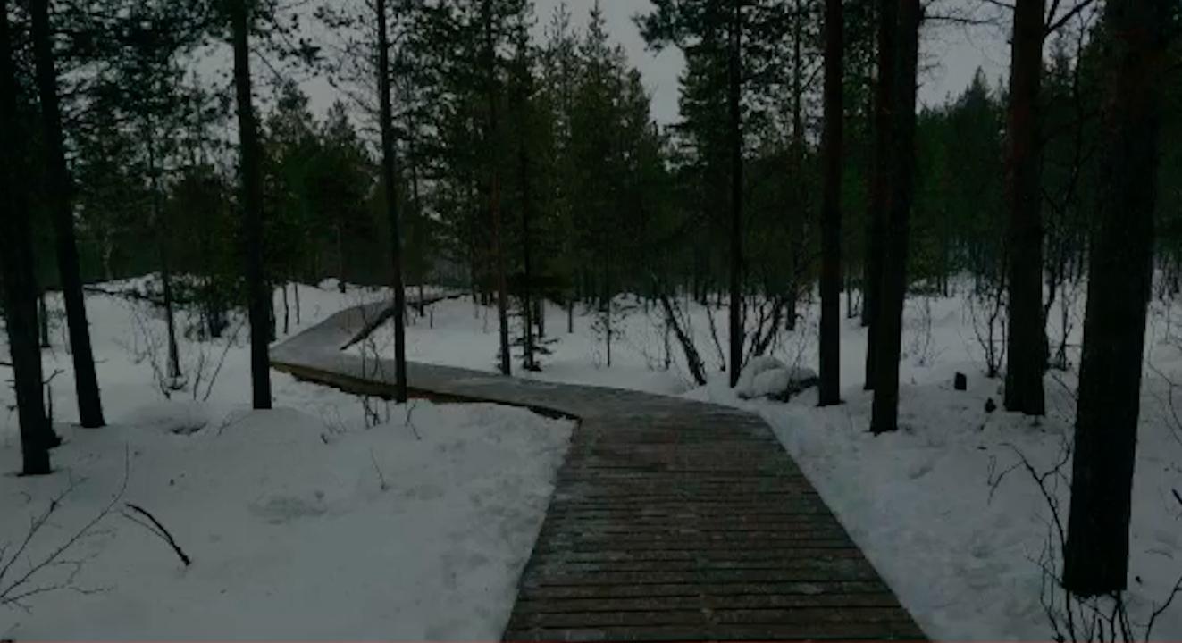 На тропе &quot;Беличий хвост&quot; в Мурманске до сих пор не установили освещение