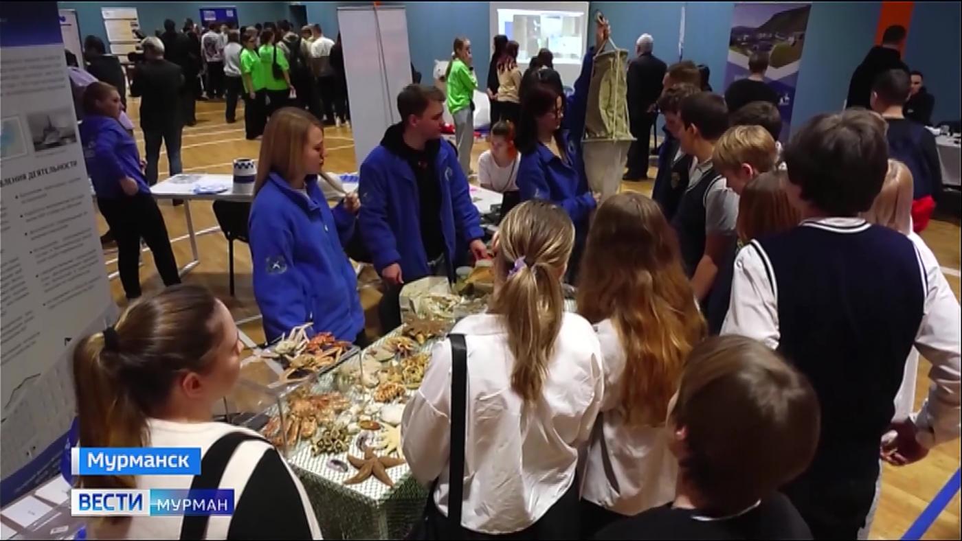 Фестиваль профессий открылся в Мурманске