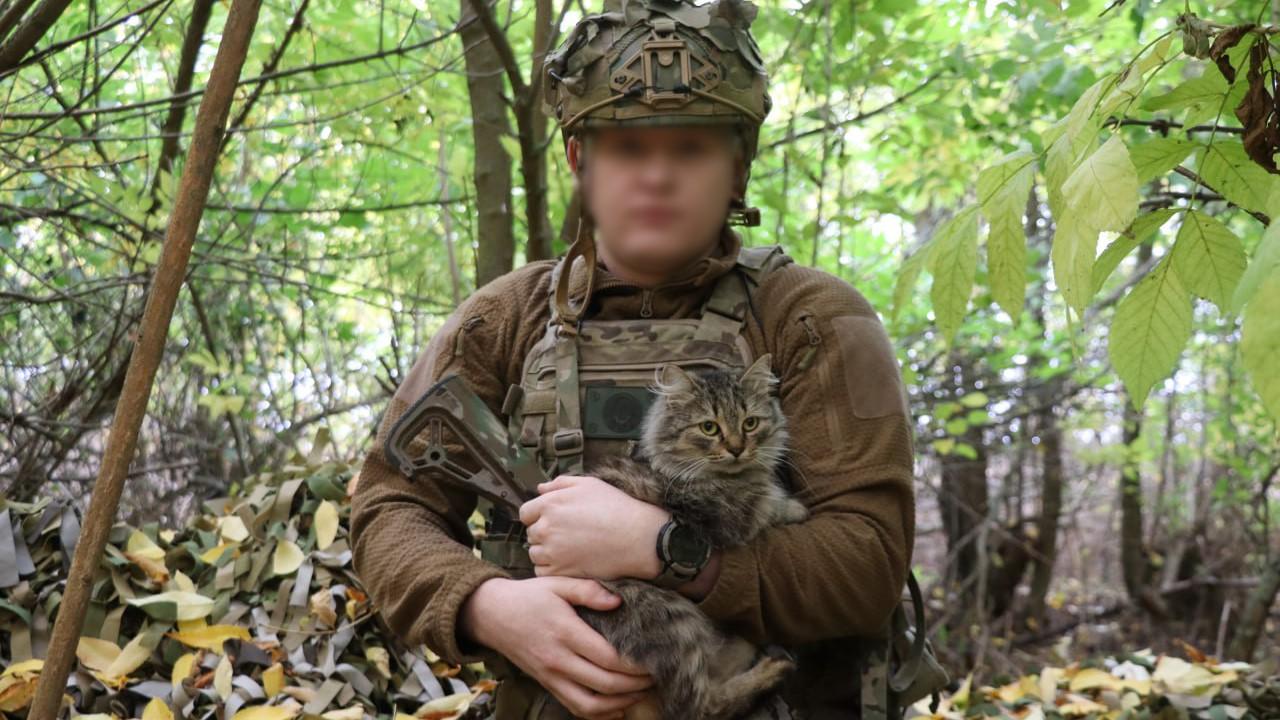 Когда сбываются мечты