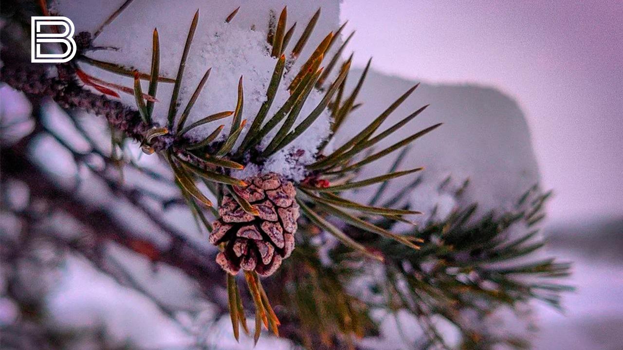 Прогноз погоды по Мурманской области на 3 декабря