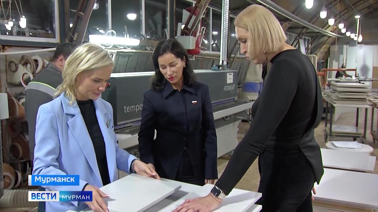 Елена Дягилева: важно, чтобы инвестклимат в Арктической зоне был комфортный для создания инвестпроектов