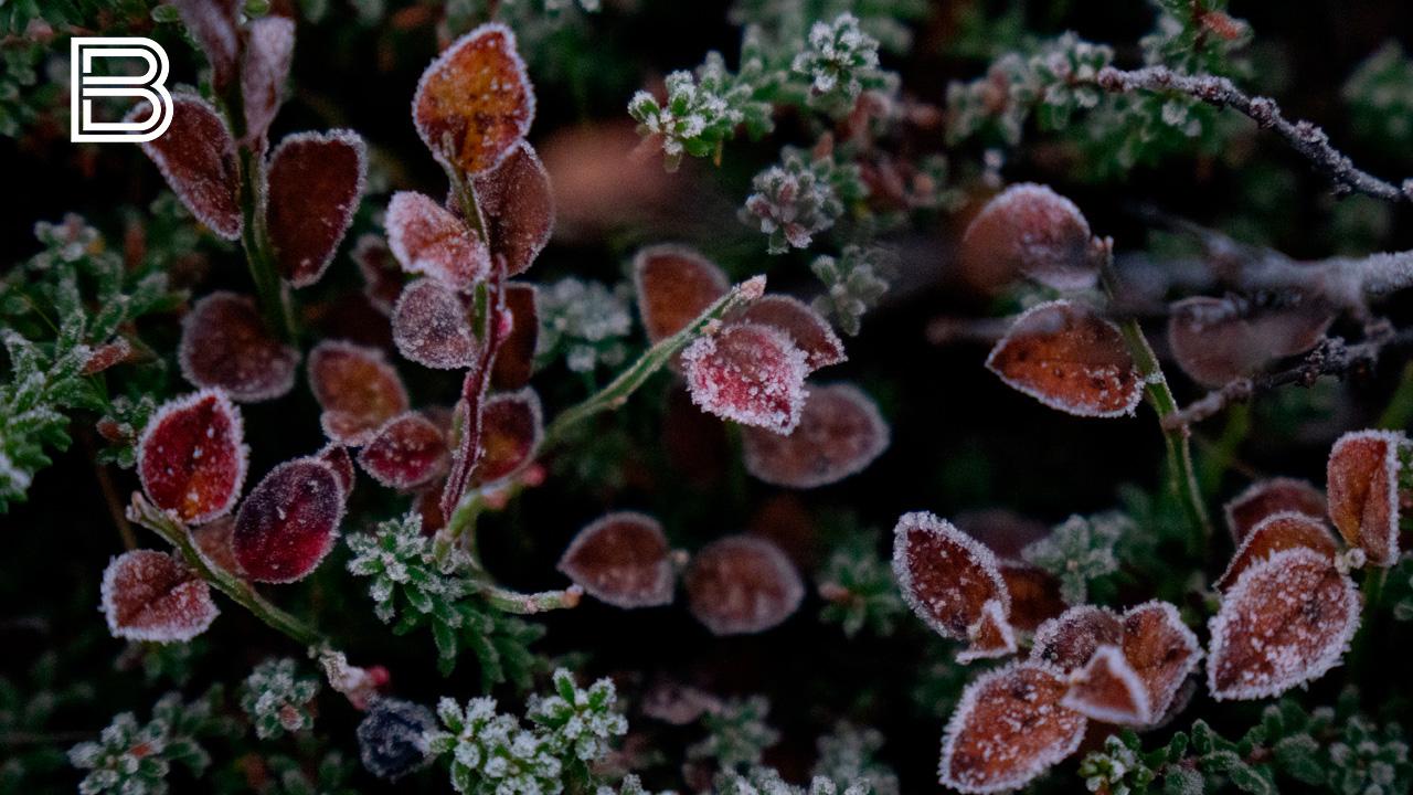 Прогноз погоды в Мурманской области на 9 декабря