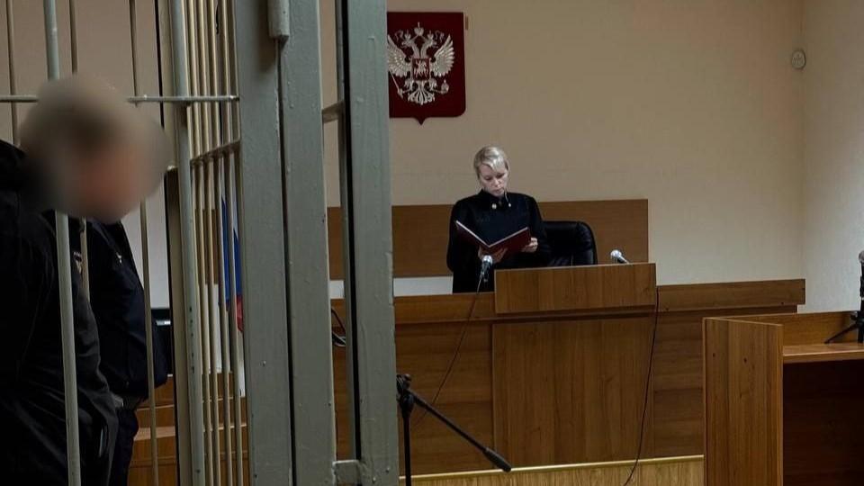 Северянина приговорили к 19 годам колонии за сексуальное насилие над ребенком