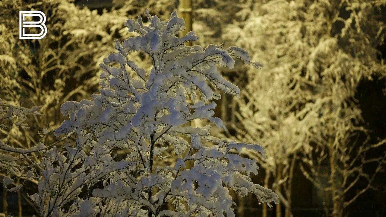 Прогноз погоды по Мурманской области на 21 декабря 