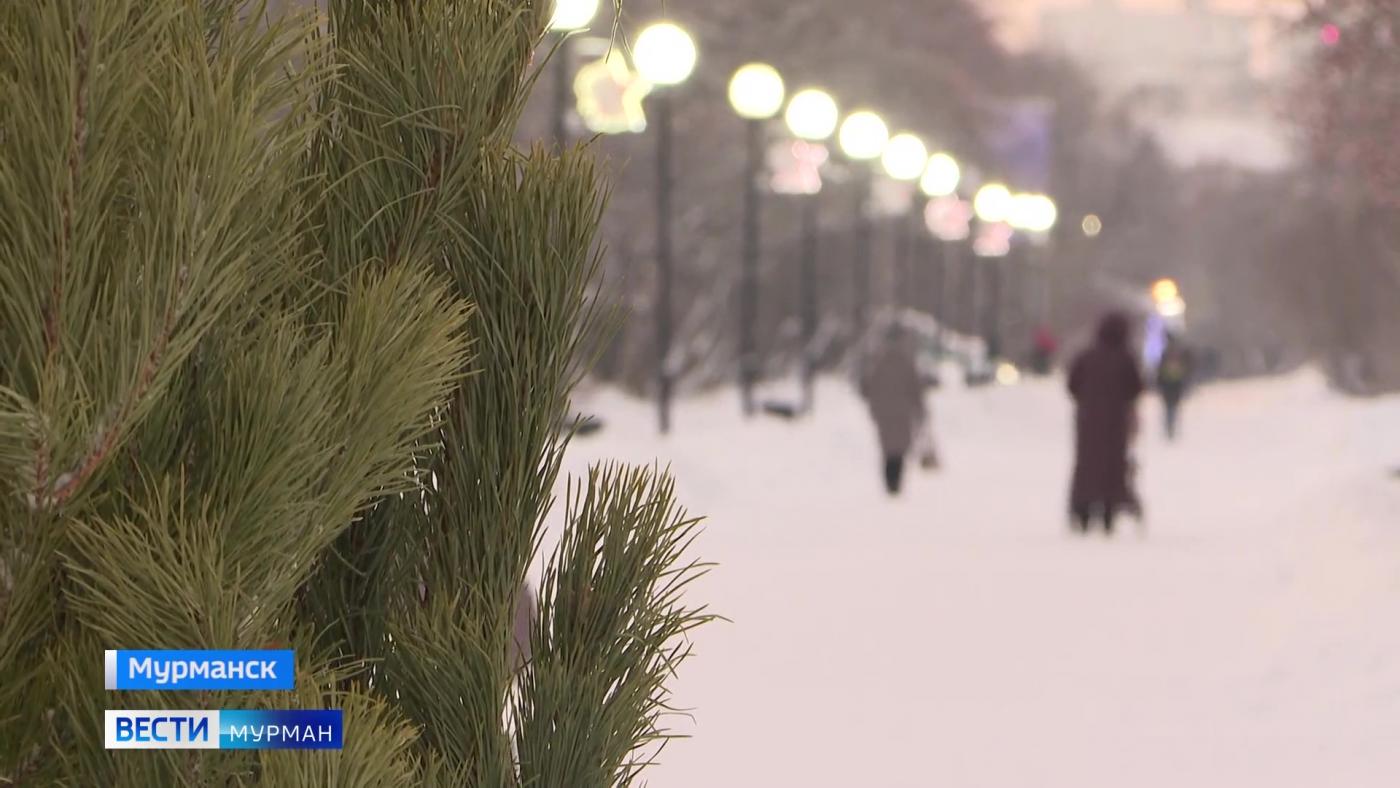 Елочные базары могут подарить не только новогоднее настроение, но и нежелательных гостей