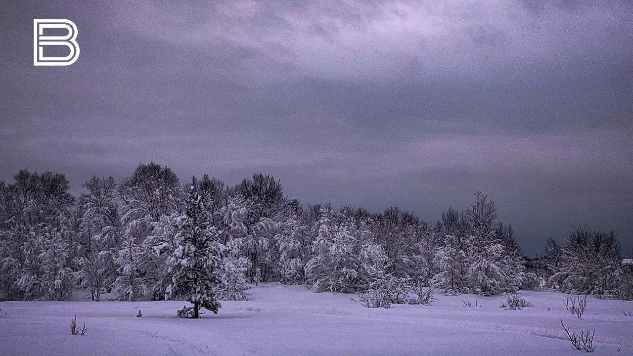 Прогноз погоды по Мурманской области на 23 декабря 