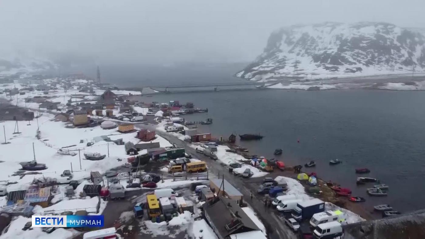 В Мурманской области утвердят правила наблюдения за морскими млекопитающими и птицами