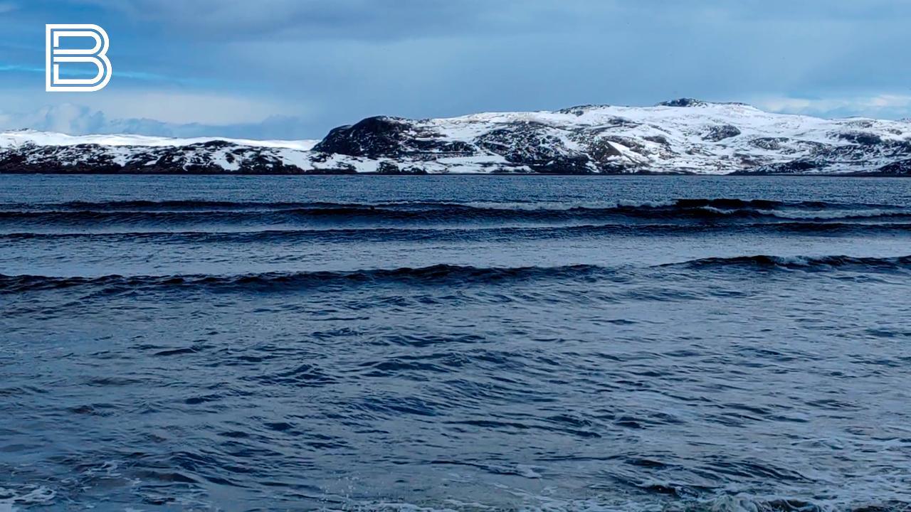 Участники телемоста "Санкт-Петербург &ndash; Мурманск" обсудили потенциал кооперации в проектах по развитию АЗРФ