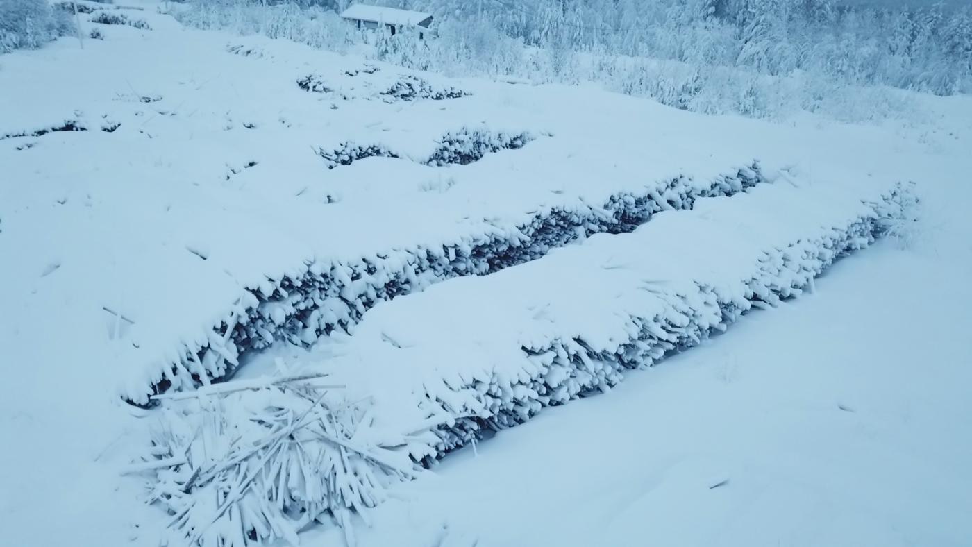 Россельхознадзор в Мурманской области начал использовать беспилотники на рейдах