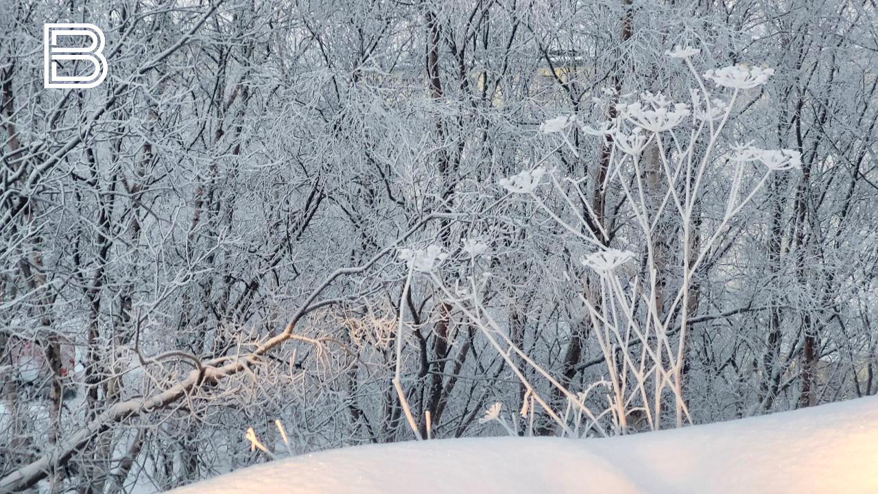 Прогноз погоды в Мурманской области на 27 декабря