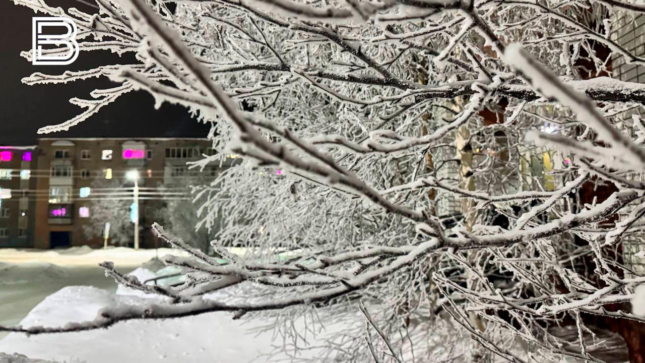 Прогноз погоды в Мурманской области на 7 января