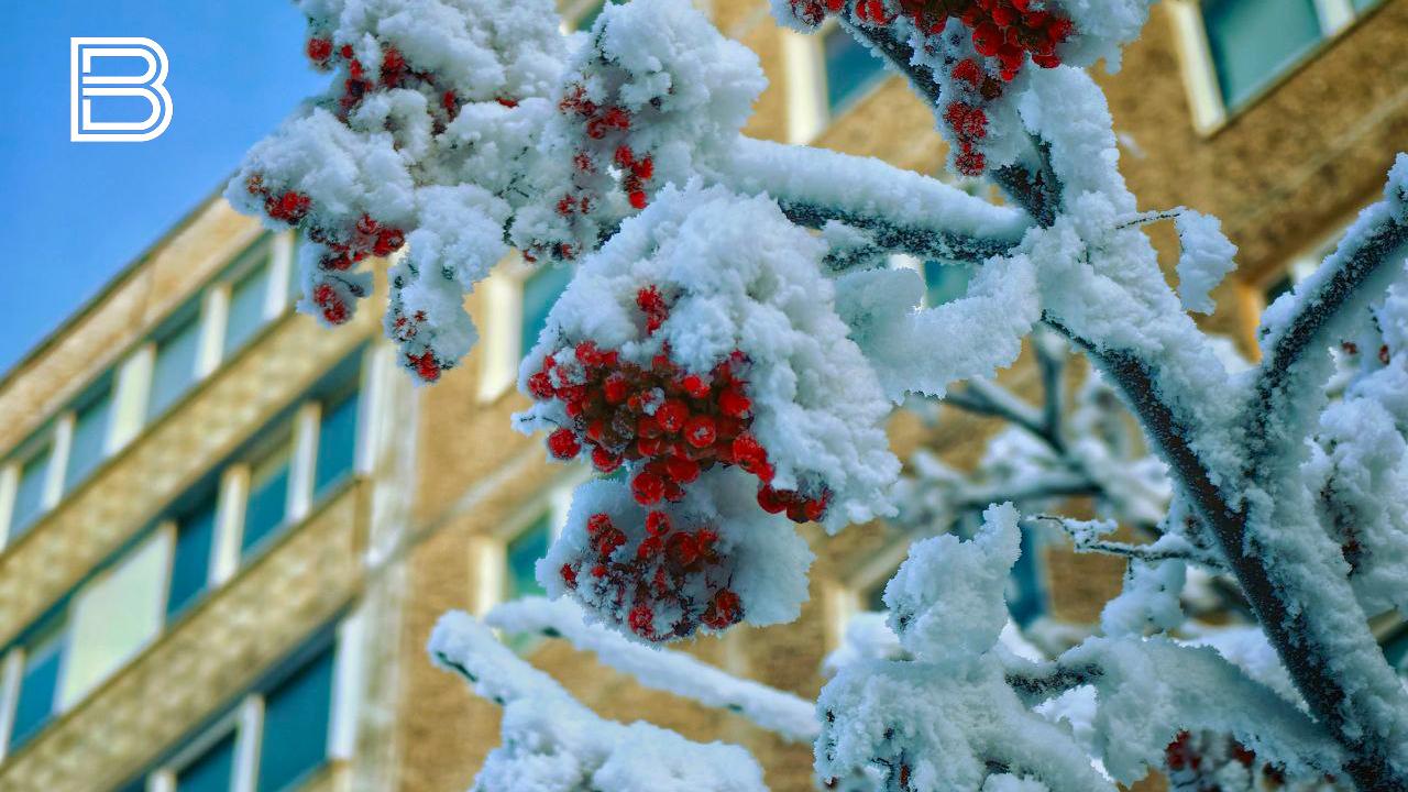 Прогноз погоды по Мурманской области на 11 января