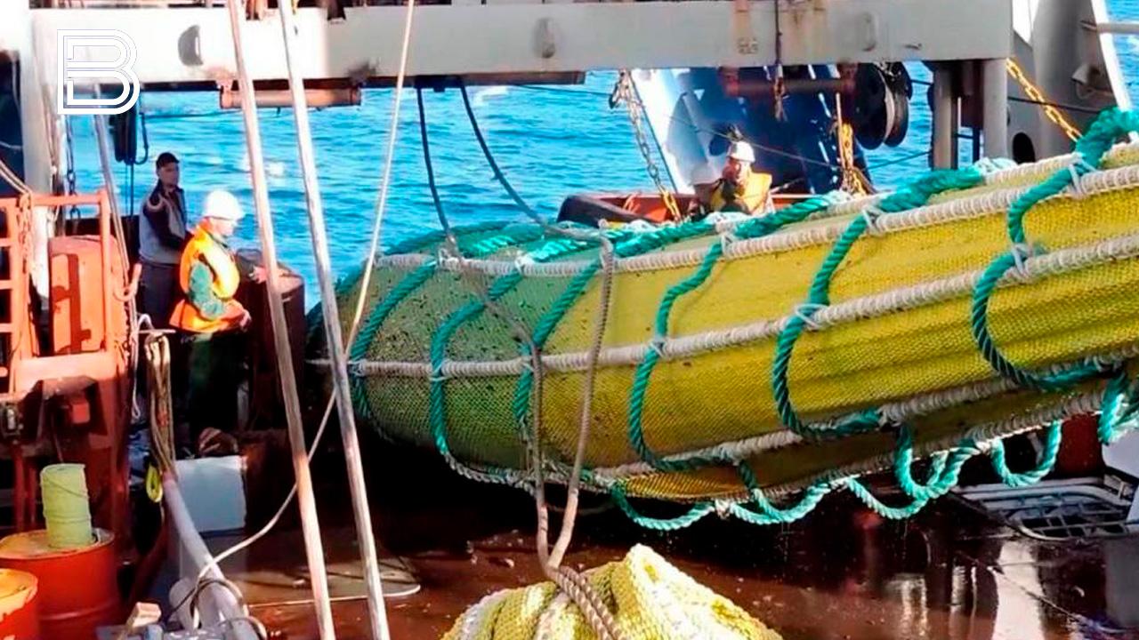 Улов рыбаков Северного бассейна с начала 2026 года составил 8,8 тыс. тонн