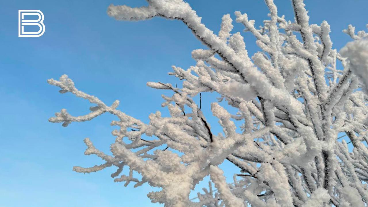 В Мурманской области 19 января ожидается небольшой снег