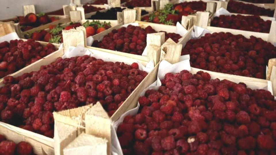 Вся импортная подкарантинная продукция в Мурманской области признана безопасной