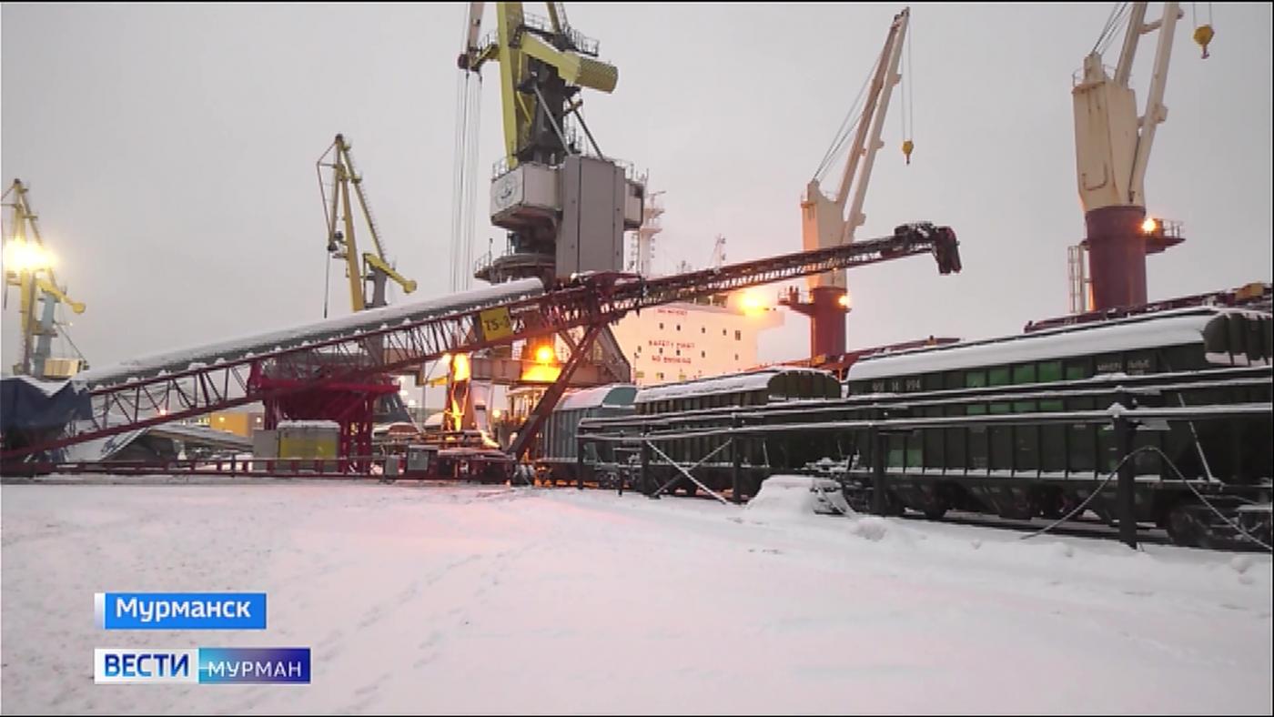 Курс на экологичность: как изменится структура грузооборота в порту Мурманска