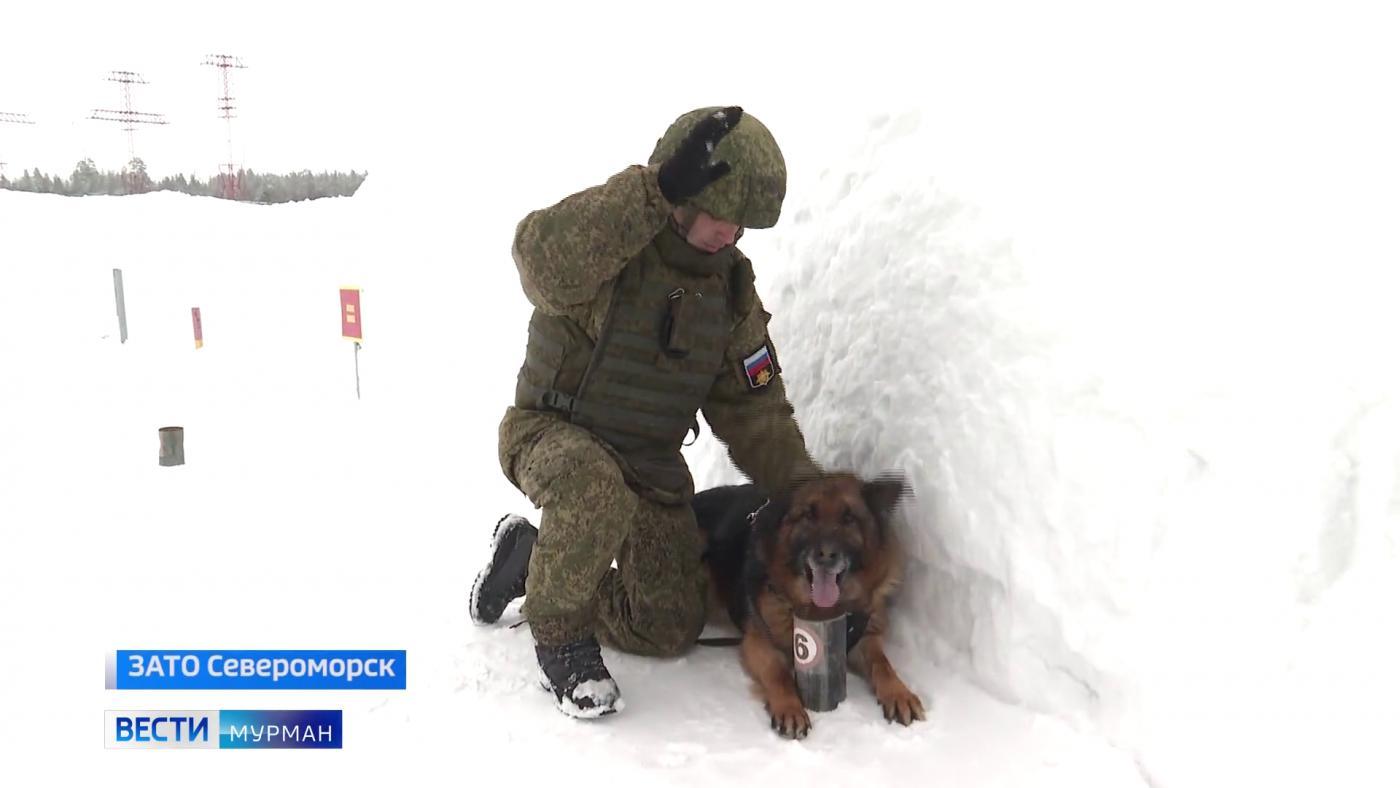 Андрей Чибис: инженерные подразделения Северного флота играют ключевую роль в освоении Арктики