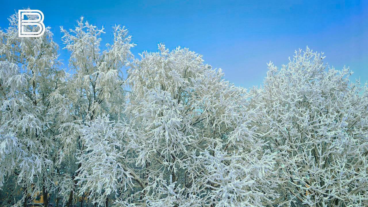 В Кольском Заполярье 22 января похолодает до минус 13&ordm;C