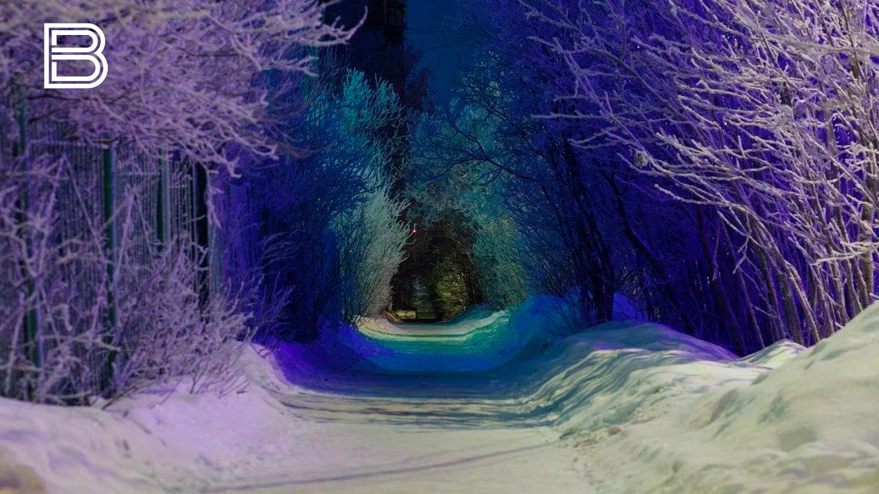 Прогноз погоды по Мурманской области на 25 января