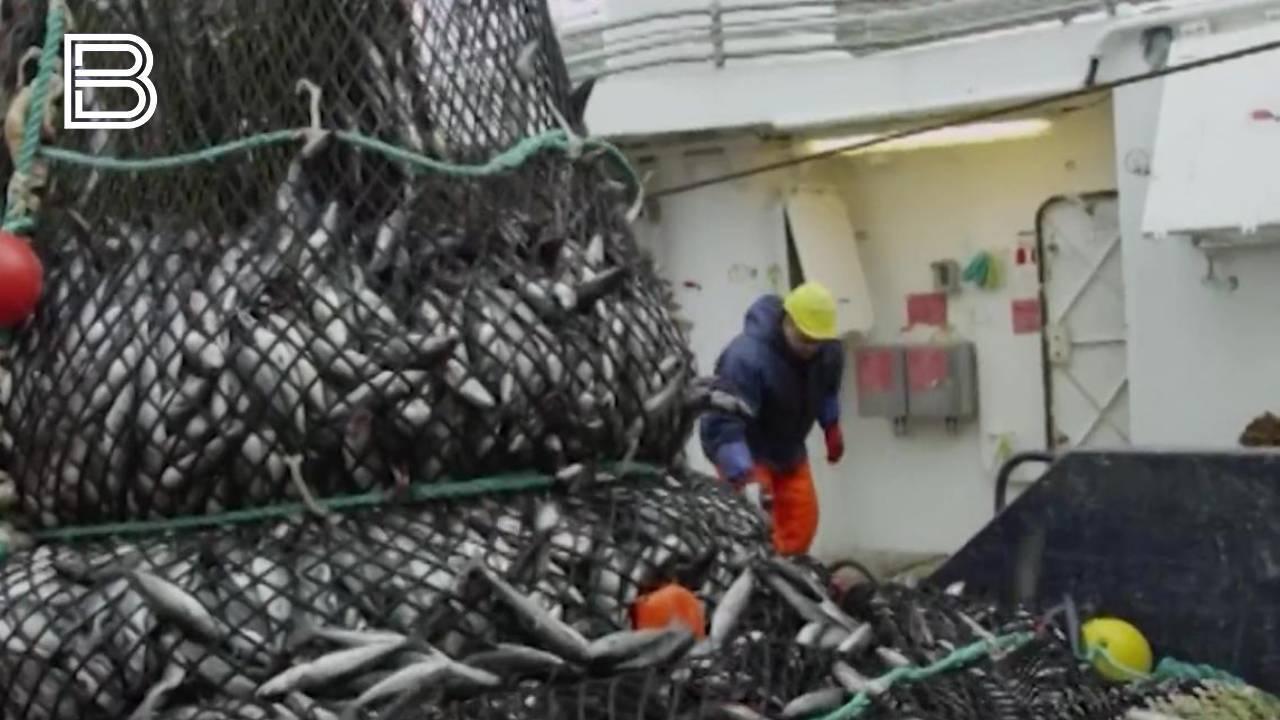 Промысловики Северного бассейна добыли 18,7 тыс. тонн рыбы с начала 2026 года