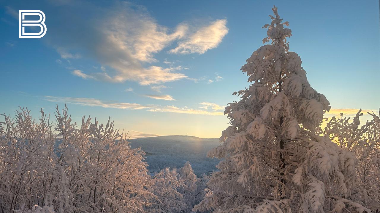Прогноз погоды в Мурманской области на 3 февраля