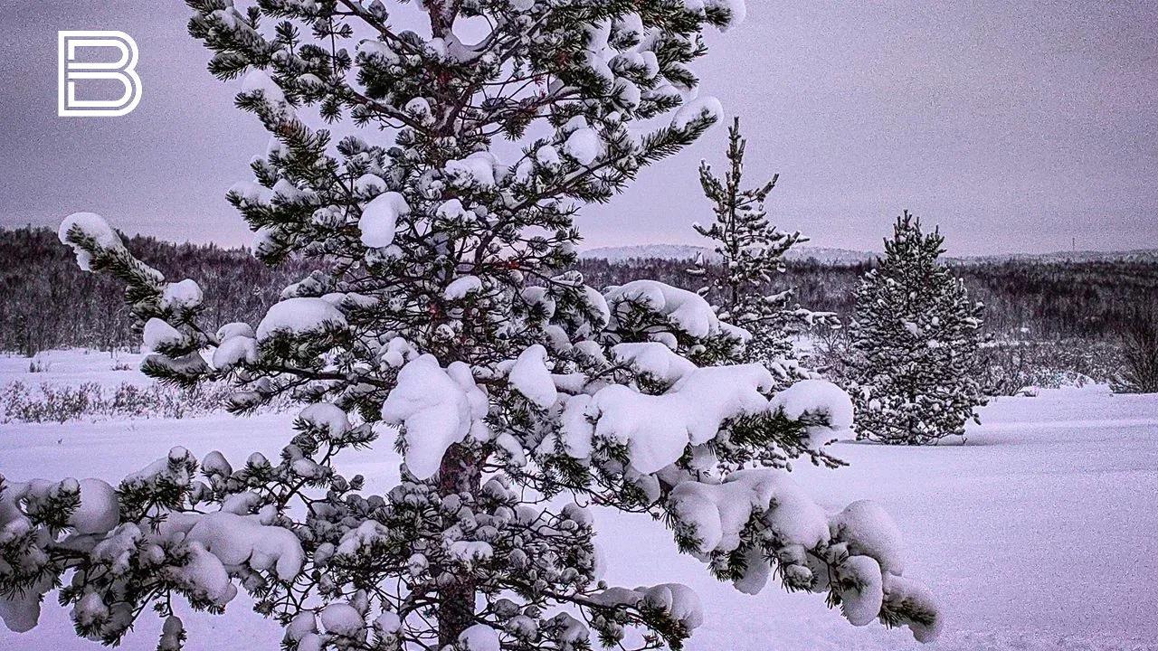 "Температурные качели" ожидают жителей Мурманской области 21 февраля
