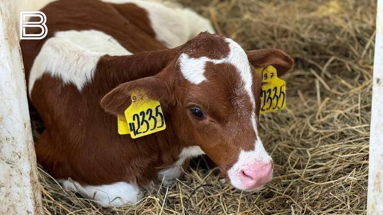 Прокуратура проверит агрофирму "Индустрия" после сообщений в соцсетях