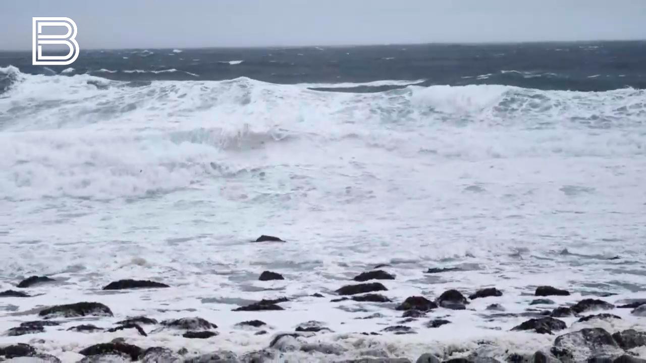 28 членов экипажа атакованного в Средиземном море газовоза везут обратно в Мурманск