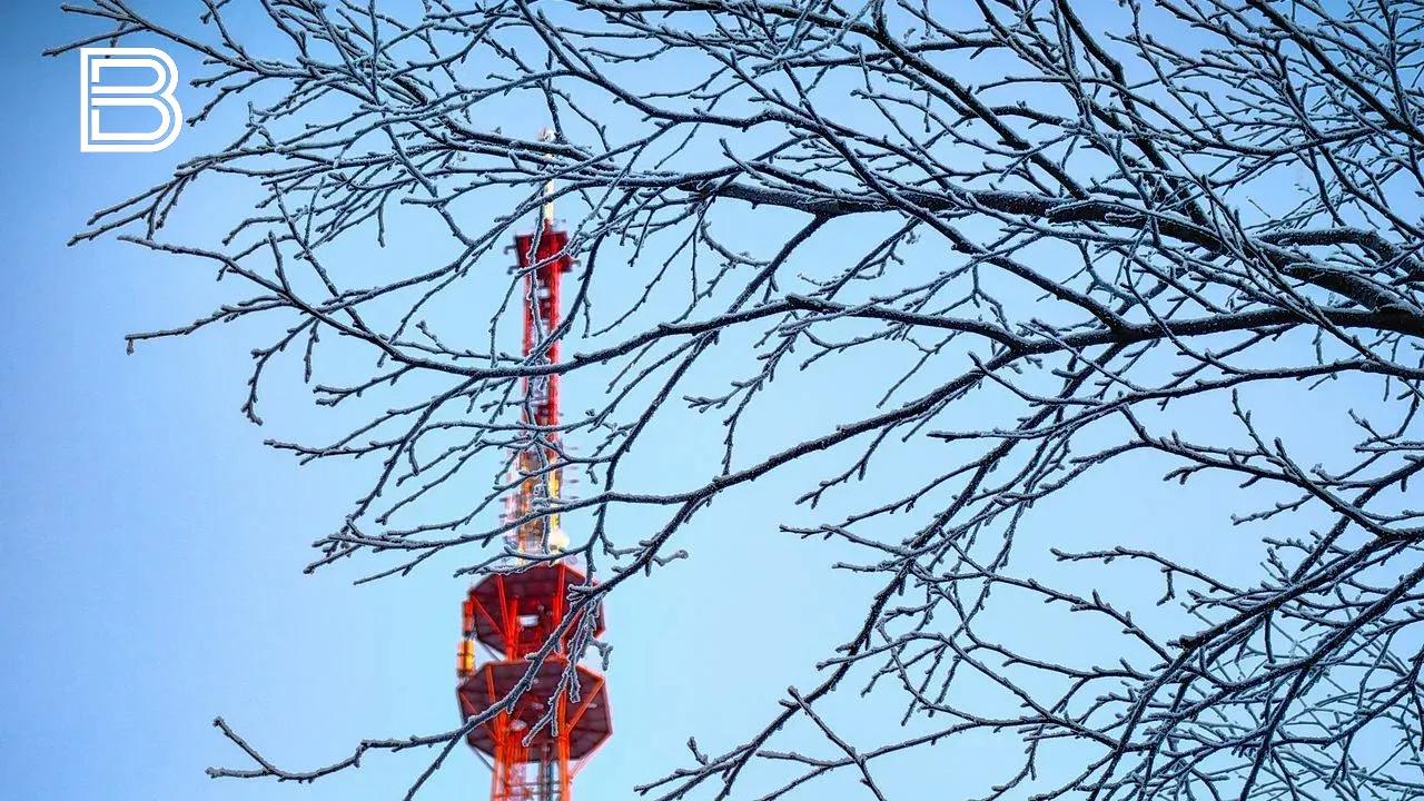 Жильцам сгоревшего дома на Павлова в Мурманске предоставили жилье и собрали вещи&nbsp;