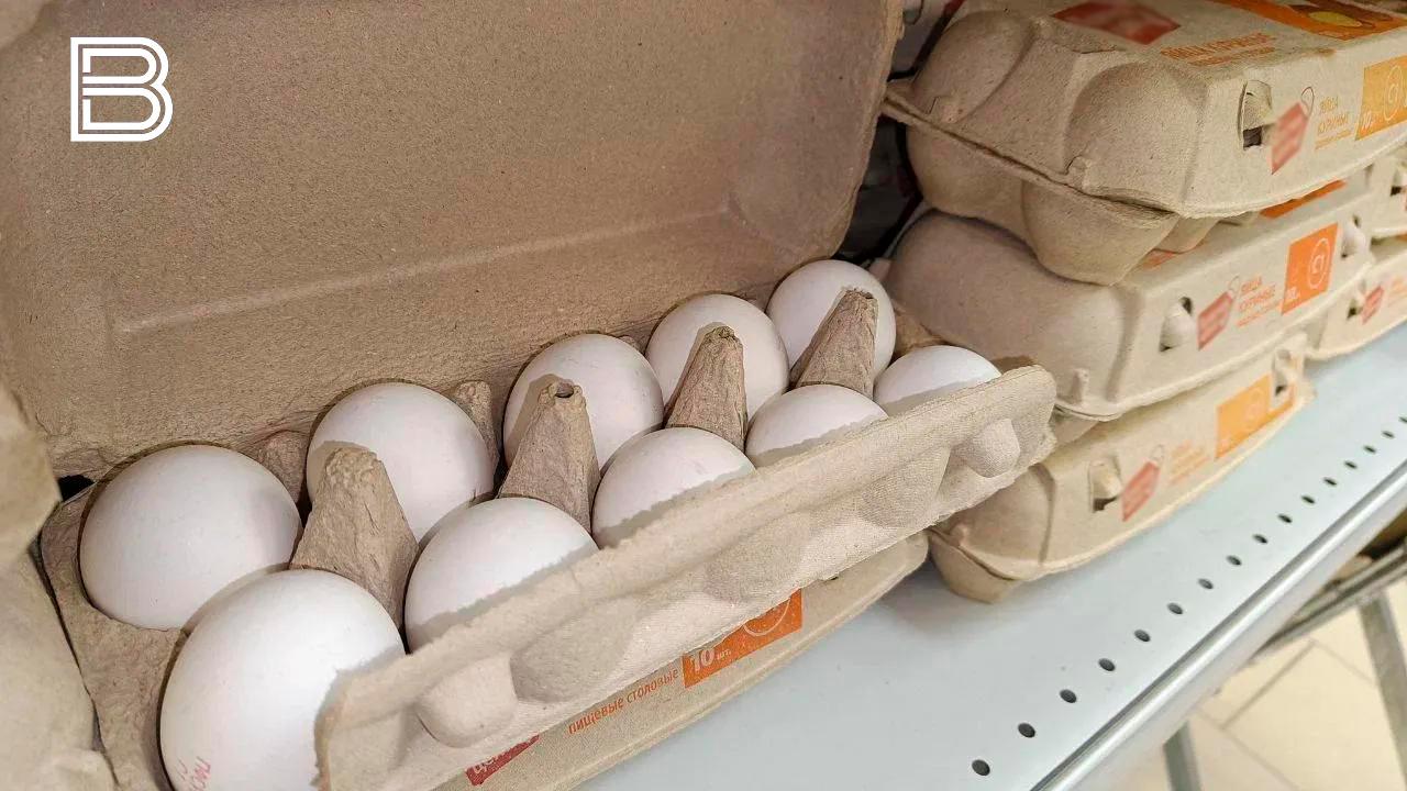 Яйца и проезд в общественном транспорте сильнее всего подорожали в Мурманской области