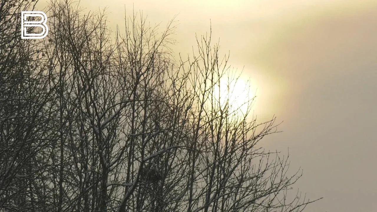 Прогноз погоды по Мурманской области на 22 марта