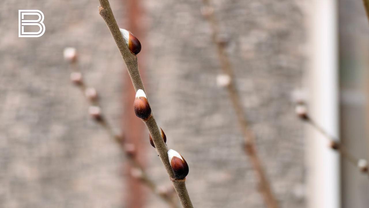 Прогноз погоды в Мурманской области на 28 марта