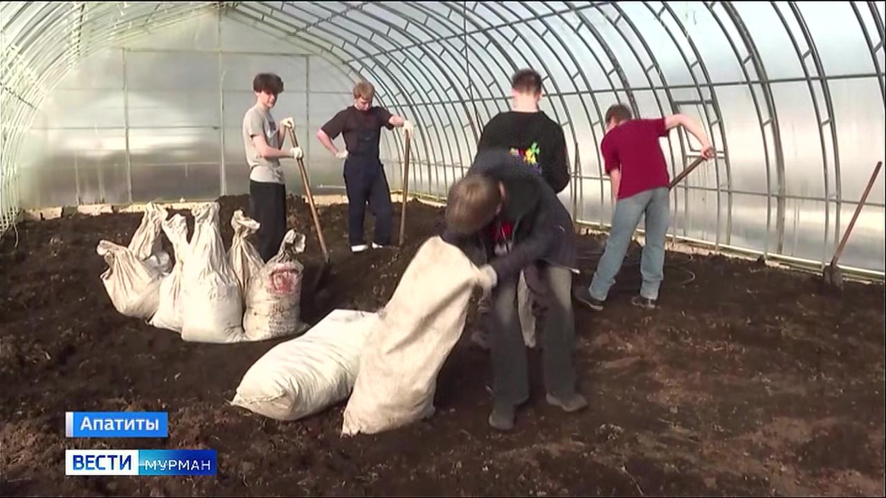 Каникулы &ndash; с пользой для тела и для дела: школьники из Апатитов устроились на работу на Полярную опытную станцию